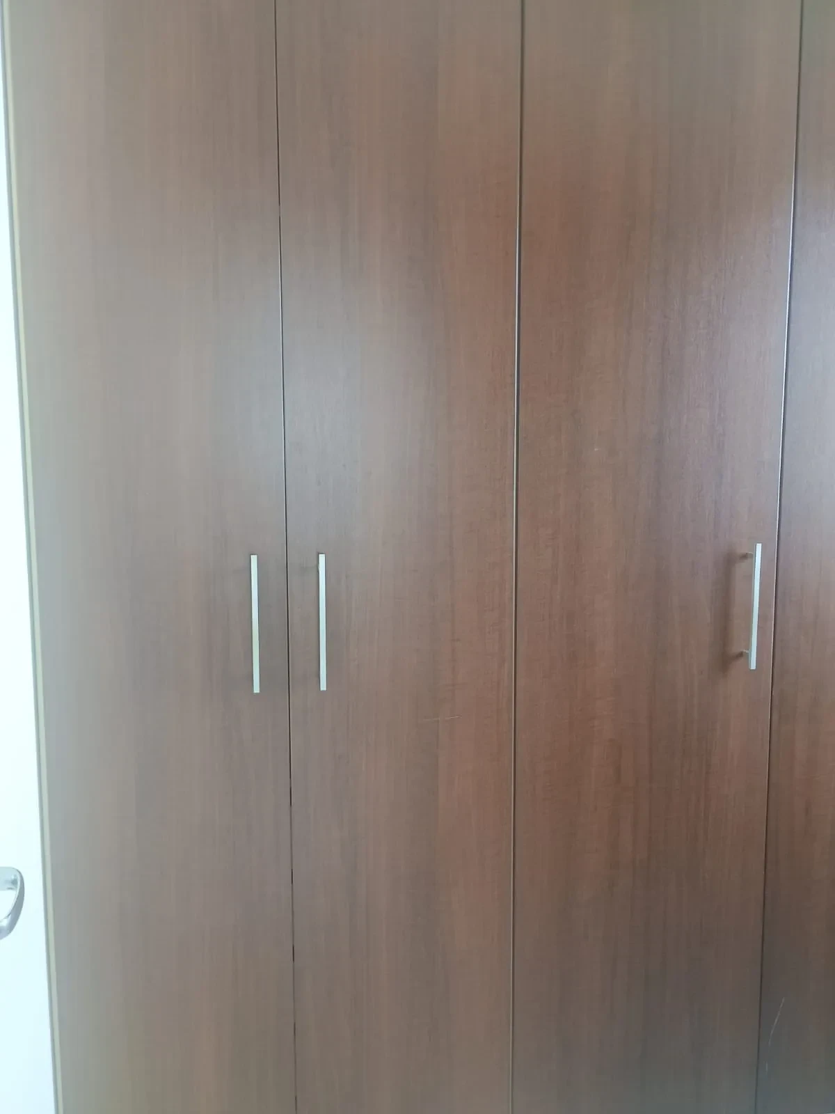 Imagem Apartamento com 3 Quartos à Venda, 62 m² em Brás - São Paulo