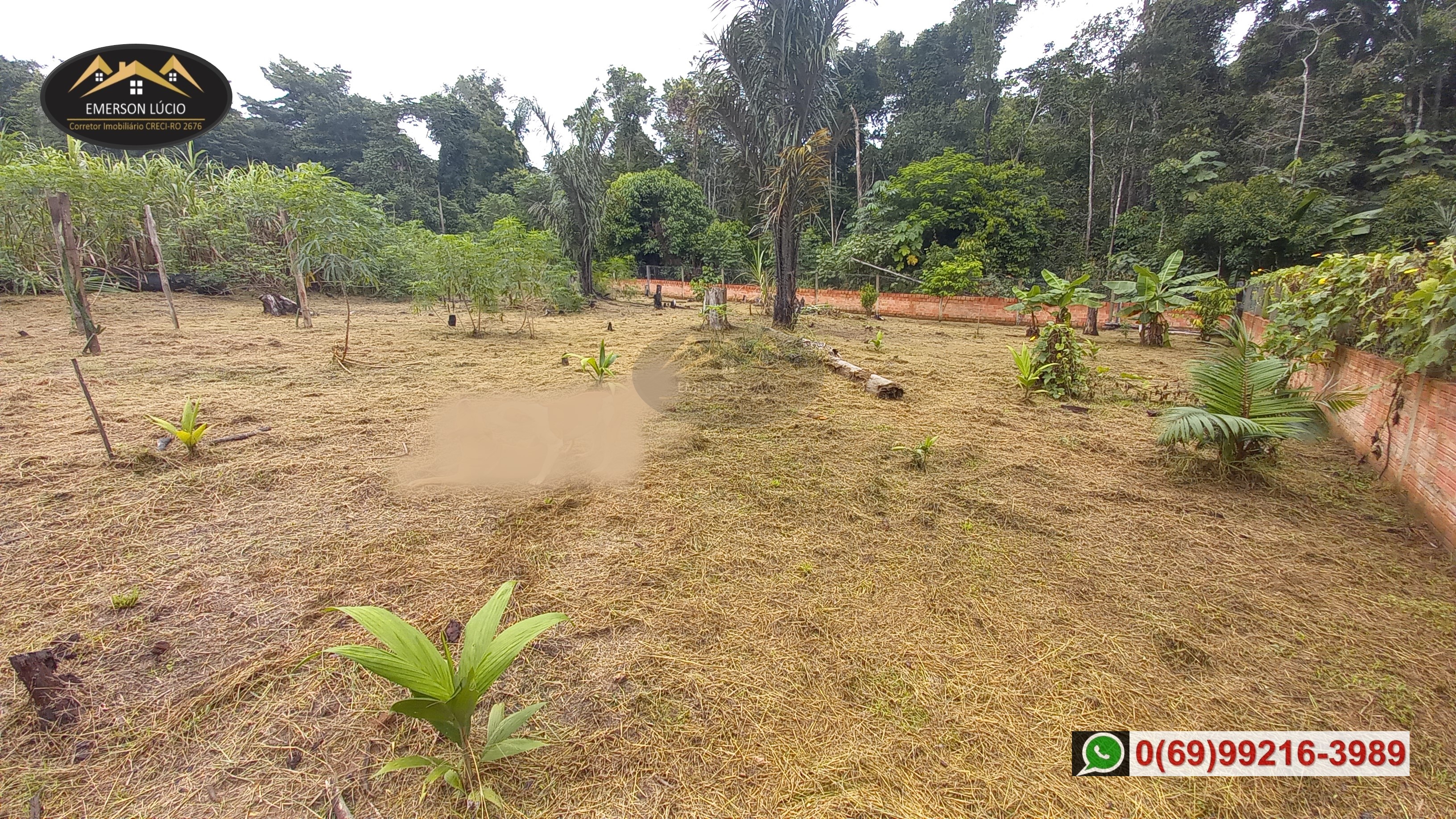 Imagem Chácara com 1 Quarto à Venda, 20 m²em Areia Branca - Porto Velho