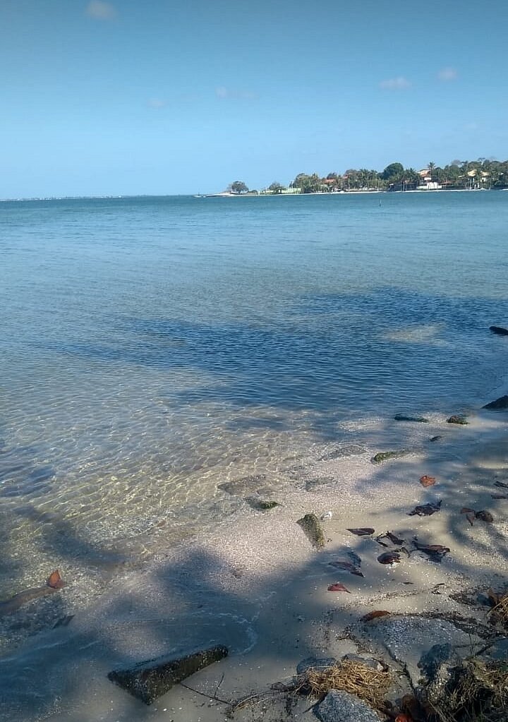 Imagem Casa com 2 Quartos à Venda, 250 m²em Centro (Iguabinha) - Araruama