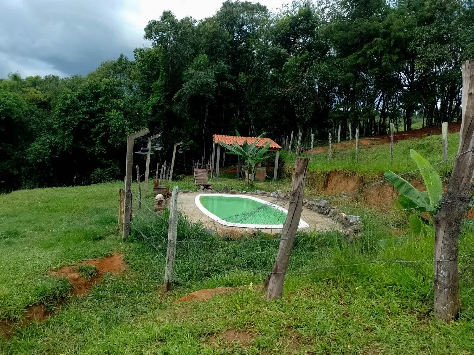 Imagem Fazenda à Venda, 5 Alq. MG em Caldas - Caldas