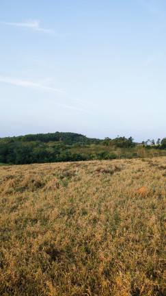 Imagem Terreno em Condomínio à Venda, 1.000 m² em Paruru - Ibiúna