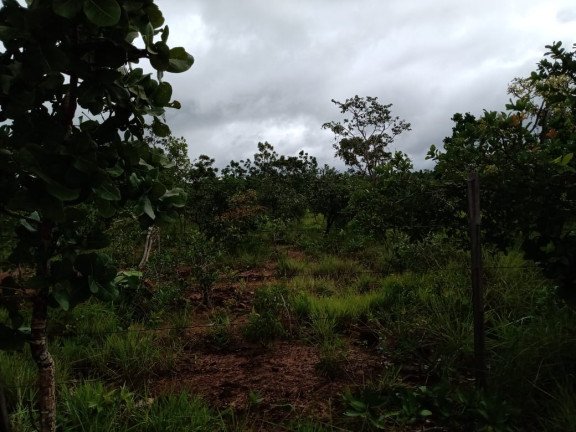 Imagem Fazenda à Venda, 4.870 HA em morumbi - campo grande