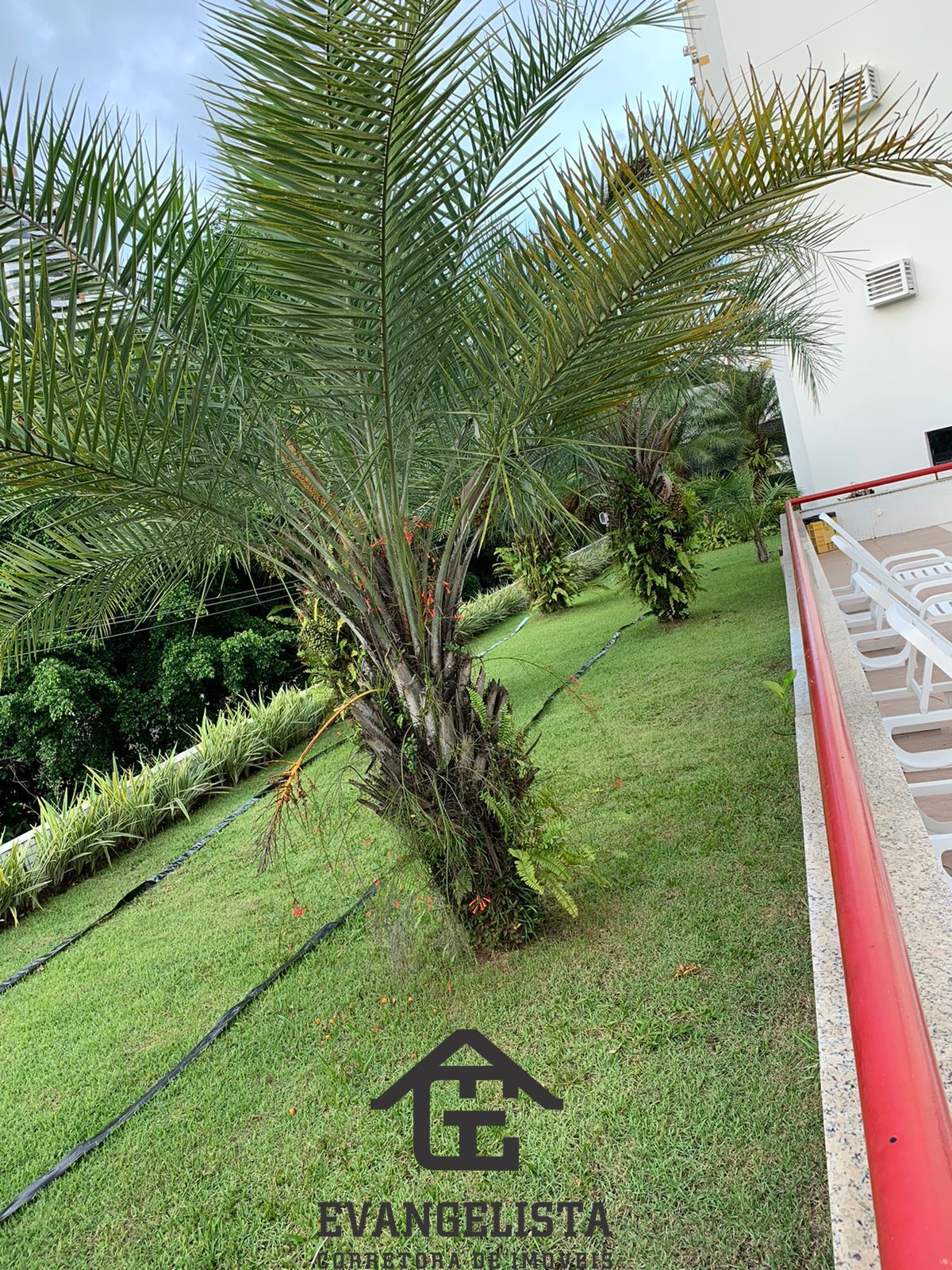 Imagem Cobertura com 4 Quartos à Venda, 260 m²em Chame-Chame - Salvador