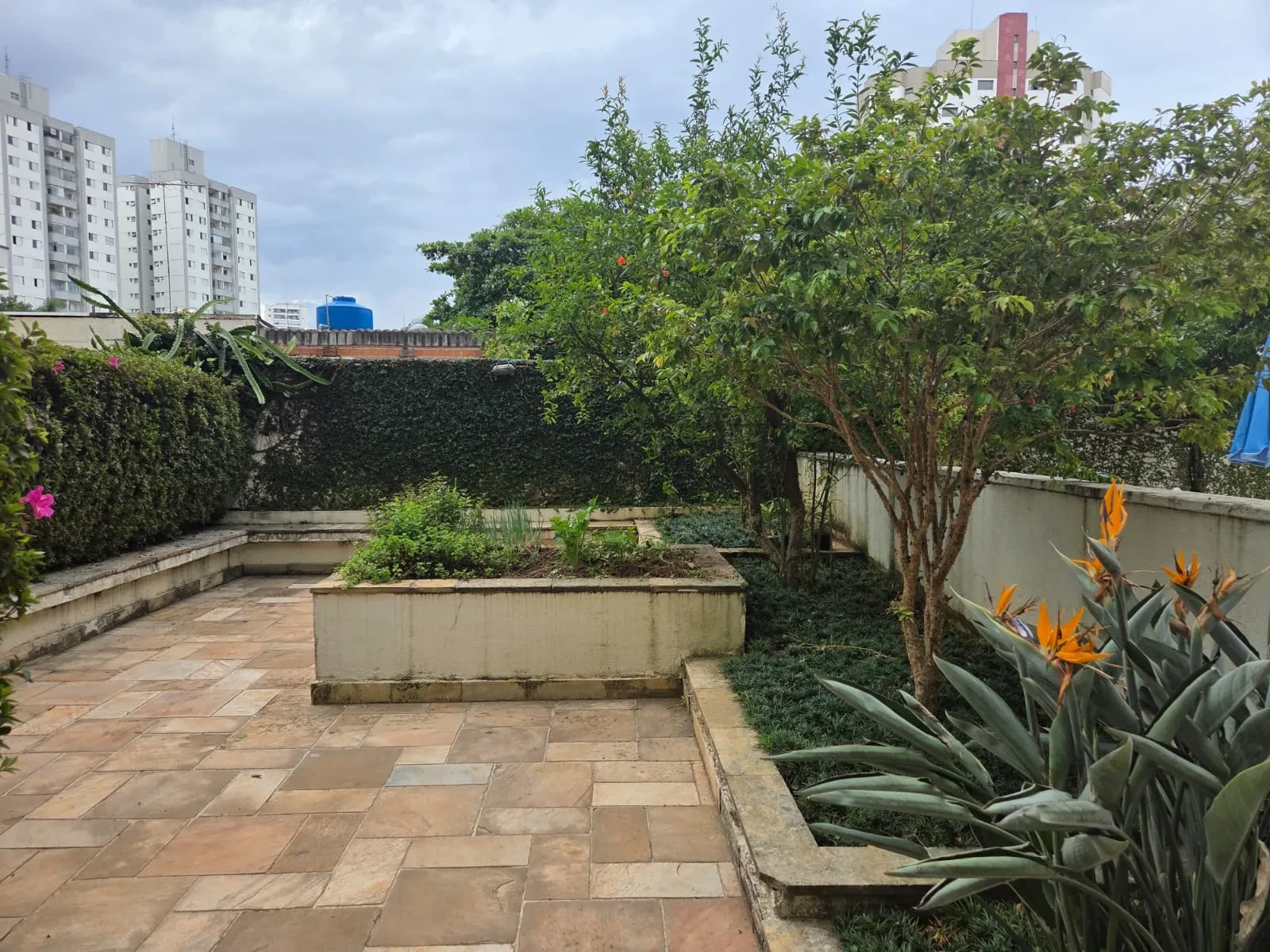 Imagem Apartamento com 2 Quartos para Alugar, 58 metros em Saúde - São Paulo