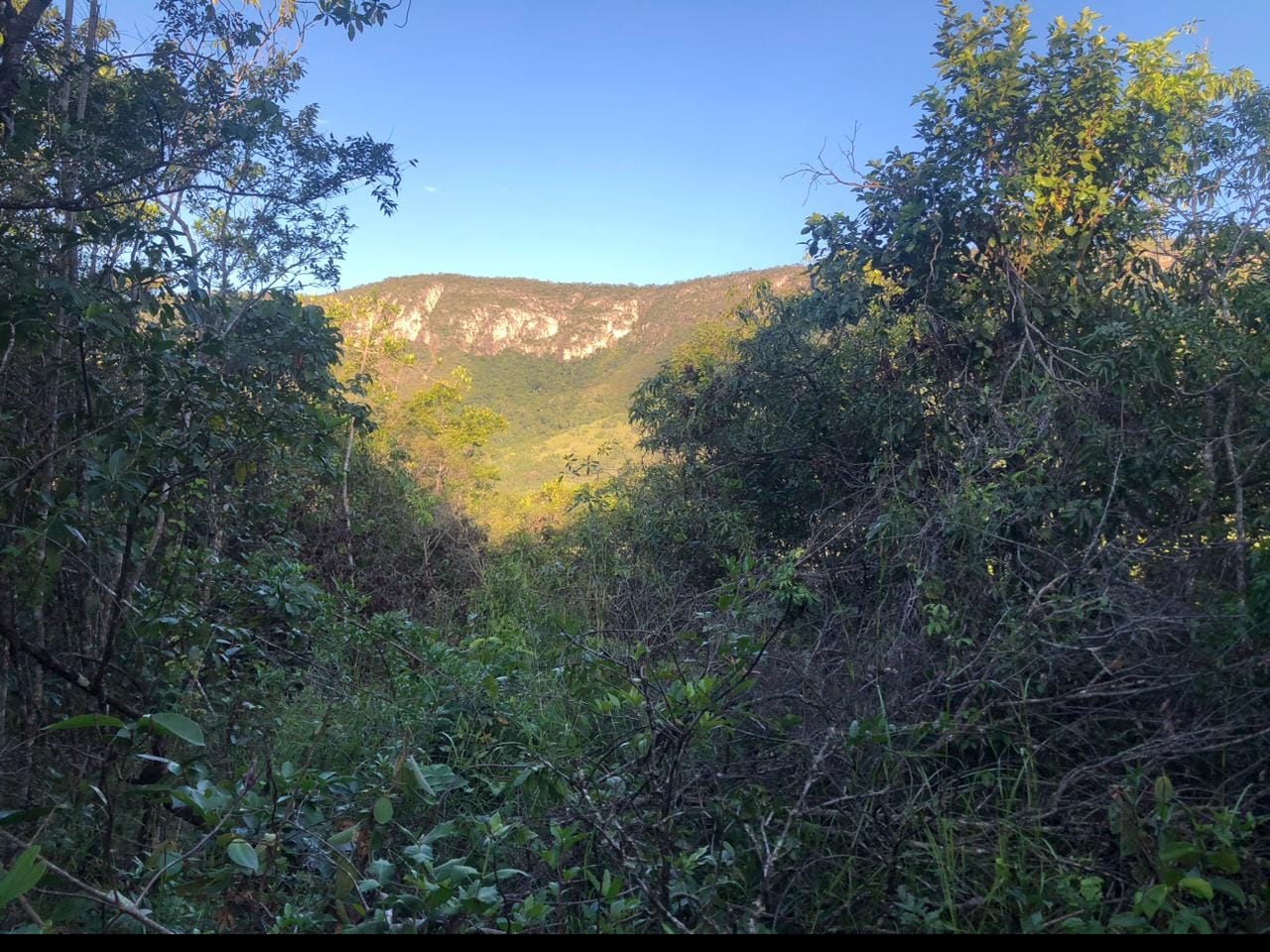 Chácara à Venda, 60 m²em Centro - Alto Paraíso de Goiás