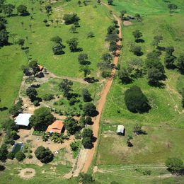 Imagem Fazenda à Venda, 103 Alq GOem ZONA RURAL - Pedro Afonso