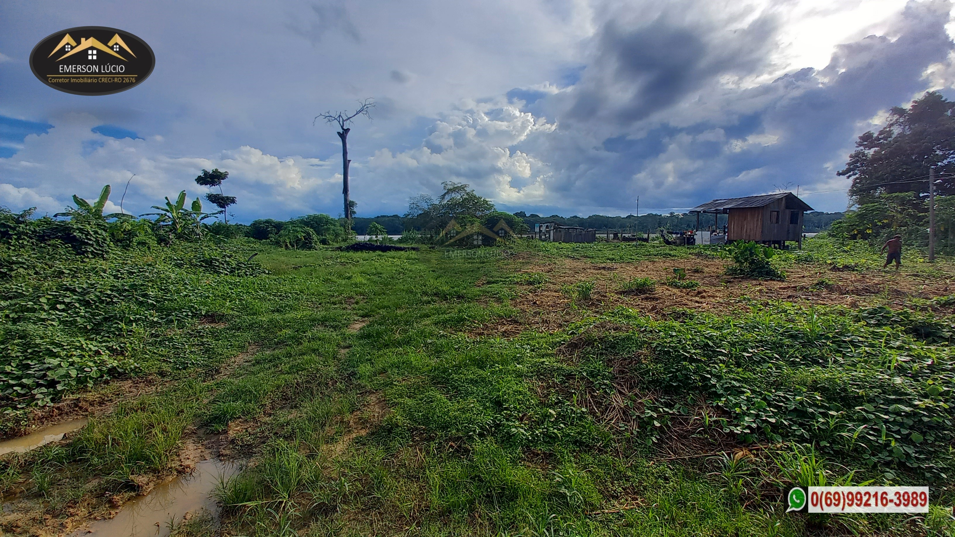 Imagem Fazenda à Venda, 50 HAem Rio Madeira - Porto Velho
