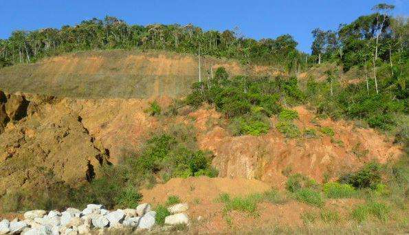 Imagem Terreno à Venda, 12.000 m² em Nova Brasília - Brusque