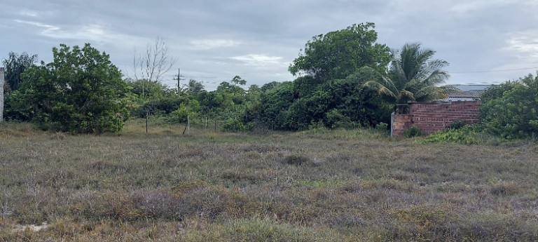 Imagem Terreno à Venda,  em Porto Sauípe - Entre Rios