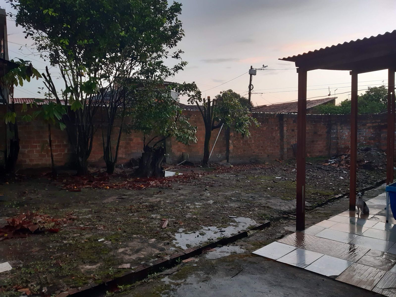 Imagem Casa com 3 Quartos à Venda, 185 m²em coqueiro - ananindeua