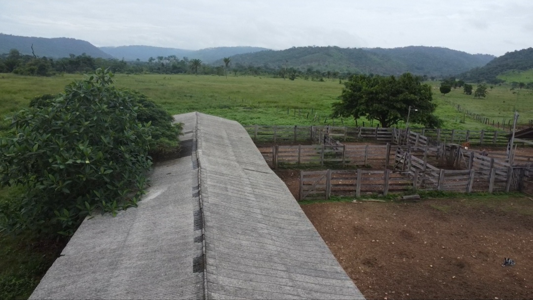 Foto do imóvel: Fazenda à Venda, 90 m²em Centro - São Félix do Xingu
