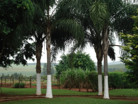 Imagem Chácara com 1 Quarto à Venda, 200 m² em Cercado - Araçoiaba da Serra