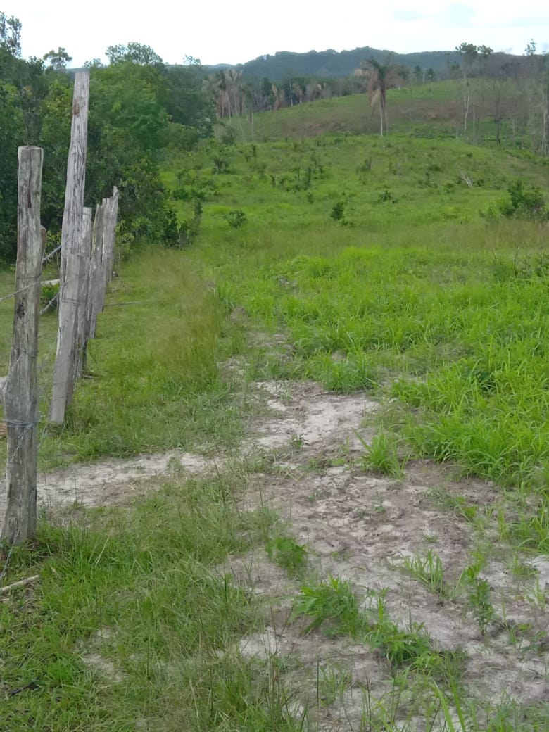 Imagem Fazenda à Venda, 350 HAem Zona Rural - Bragança