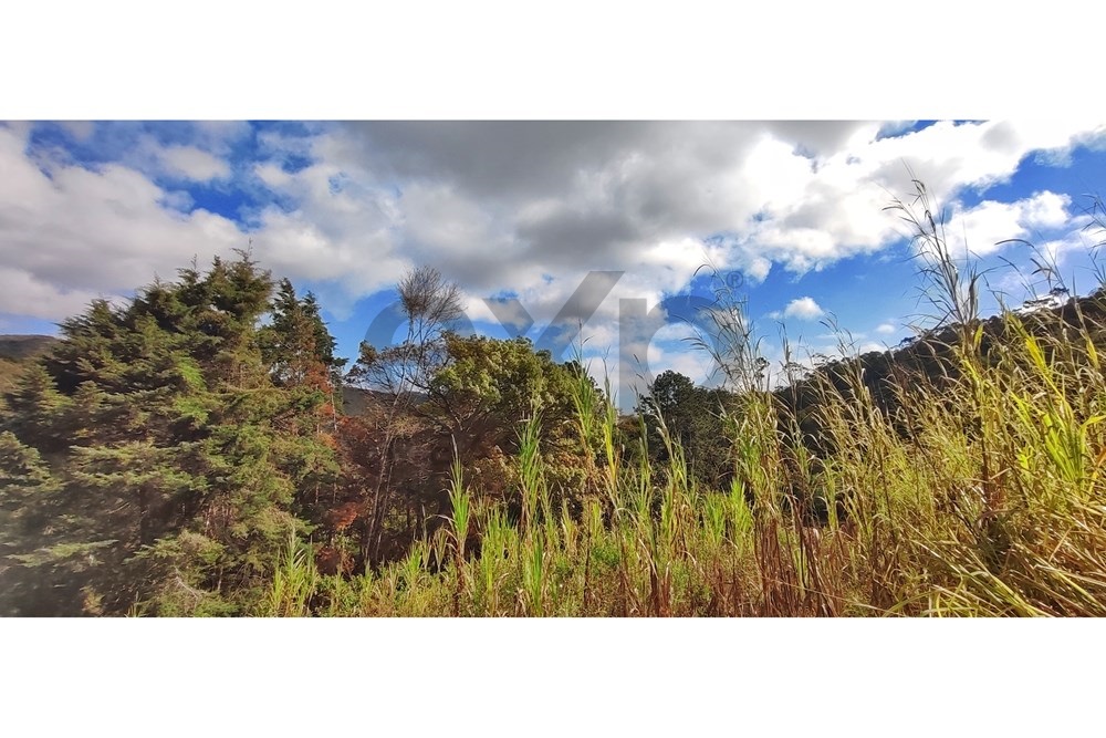 Imagem Terreno à Venda, 3.820 m² em Araras - Petrópolis