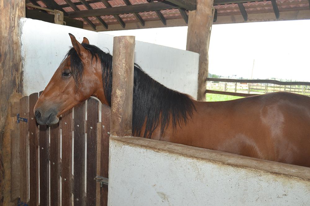 Imagem Terreno em Condomínio à Venda, 420 m²em MOEMA - Santa Izabel do Pará