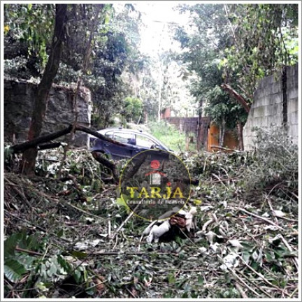 Imagem Terreno à Venda, 750 m² em Mata Fria - Mairiporã