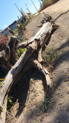 Imagem Terreno à Venda, 2.341 m² em Campo LArgo - Jarinu