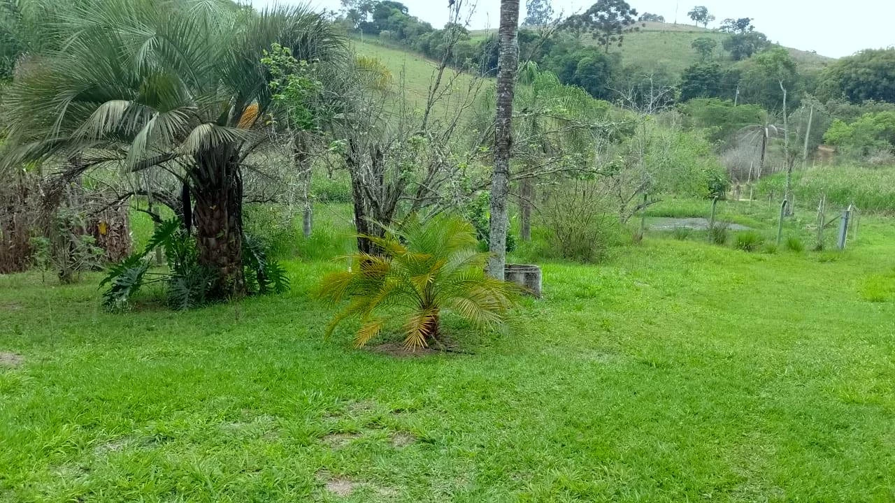 Imagem Chácara com 2 Quartos à Venda, 2.500 m² em Caldas - Caldas