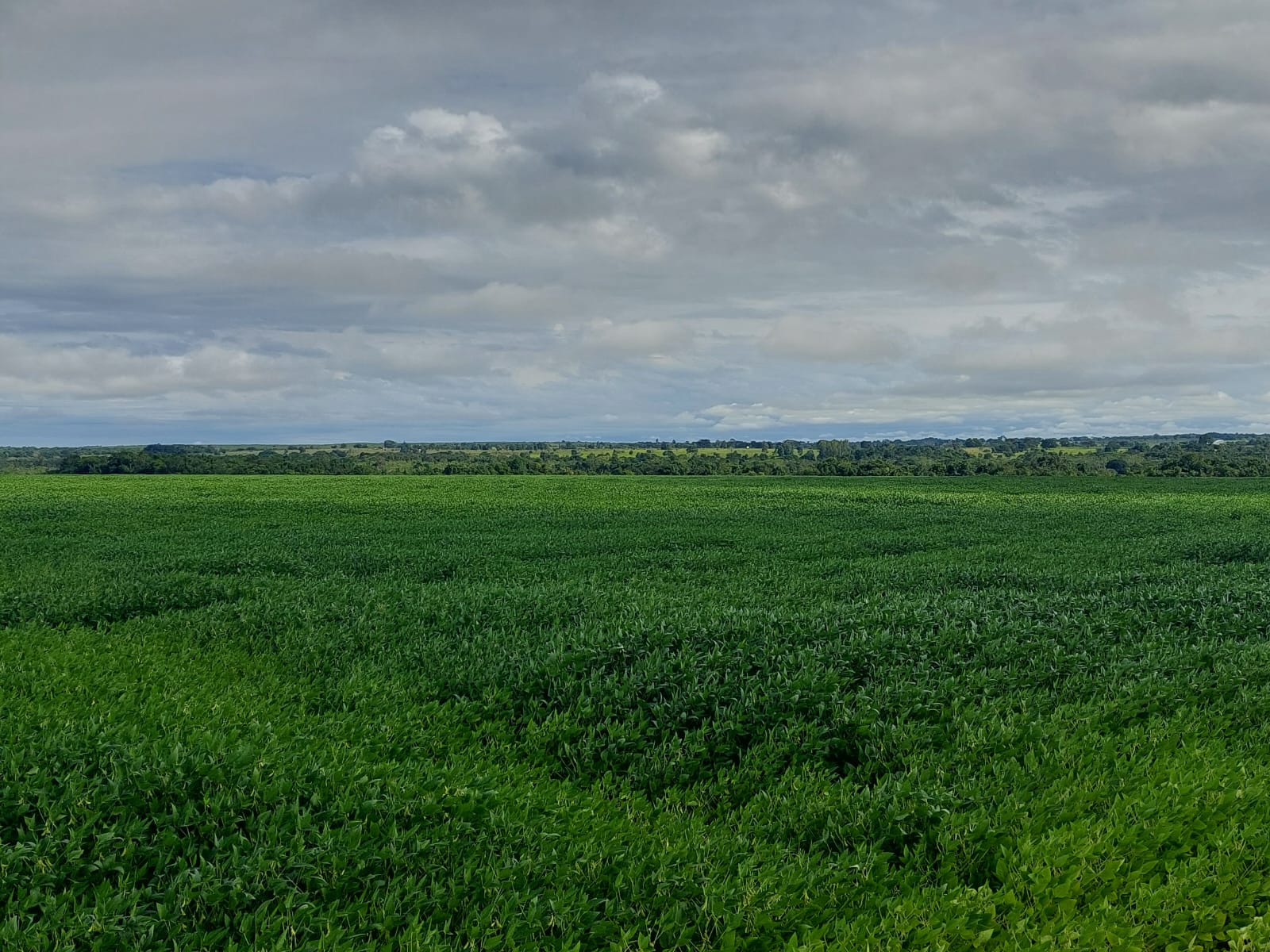 Imagem Fazenda à Venda, 968 m² em Estiva - Itajubá