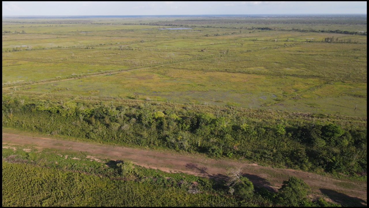 Imagem Fazenda à Venda, 22 HAem rural - Almeirim