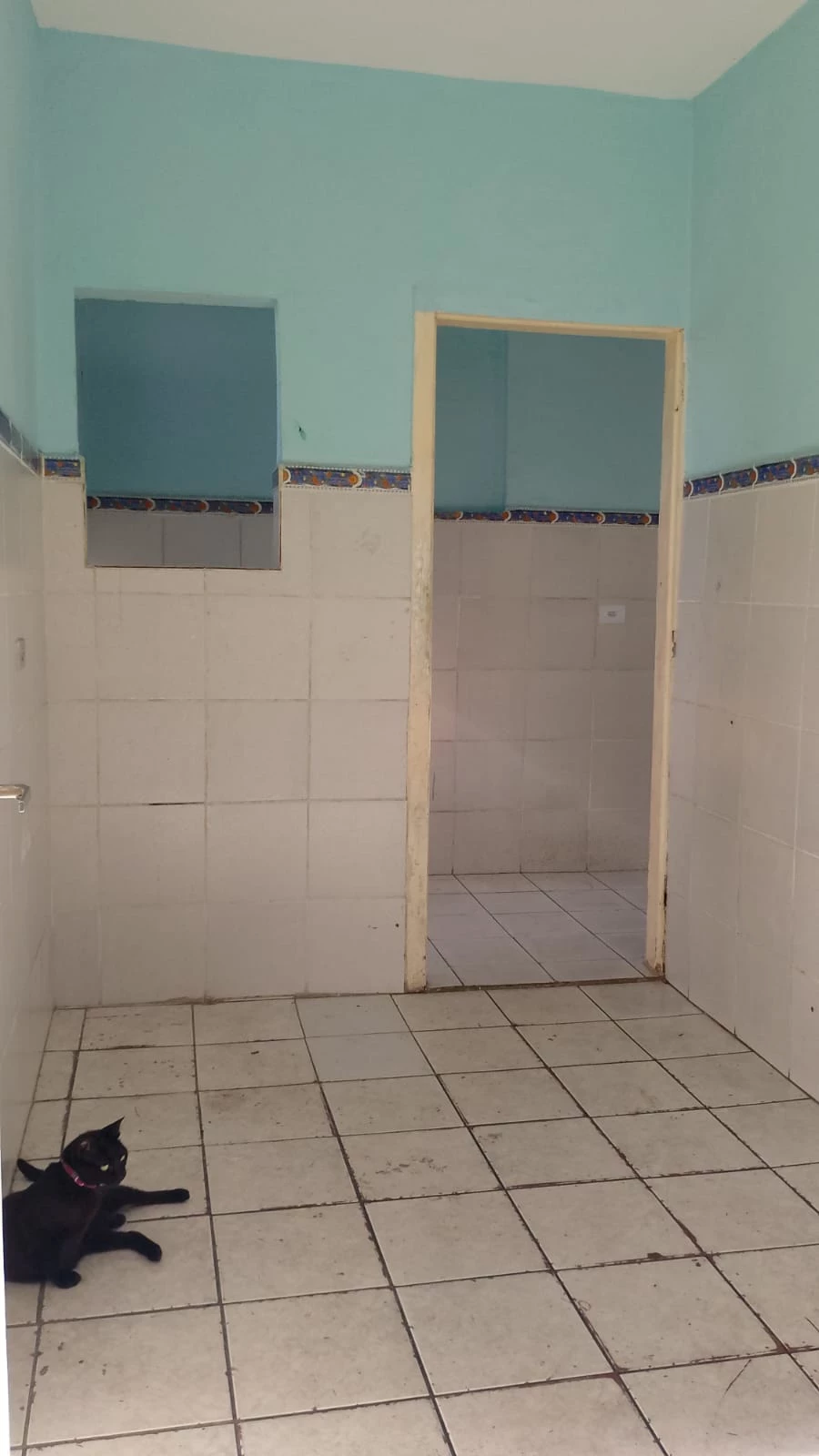 Imagem Casa com 1 Quarto para Alugar, 33 m² em Vila Califórnia - São Paulo