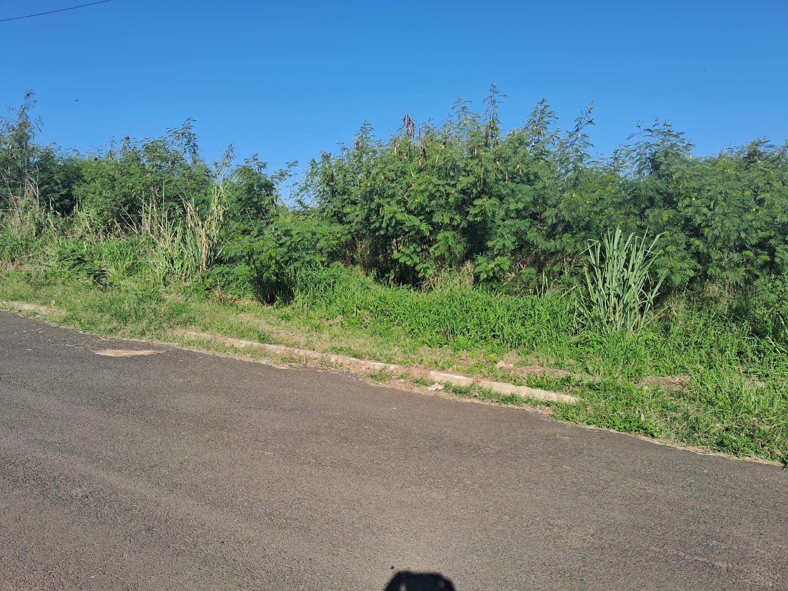 Imagem Terreno à Venda, 3.250 m² em Parque São Geraldo - Bauru