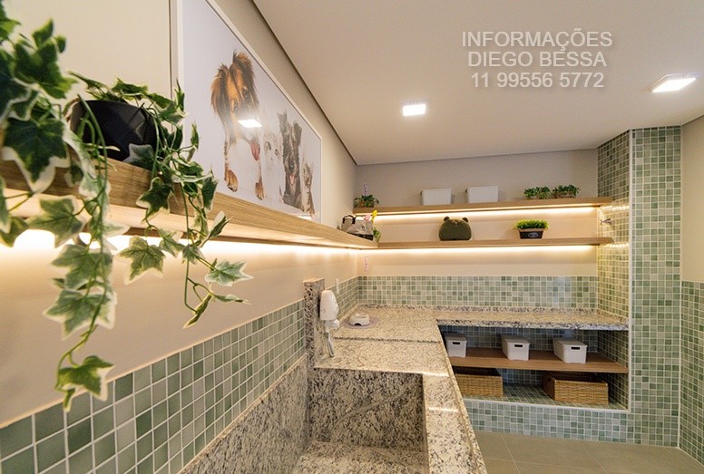 Imagem Apartamento com 2 Quartos à Venda, 33 m²em Parque Novo Mundo - São Paulo