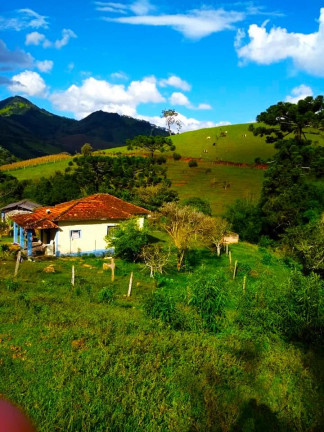 Imagem Chácara com 3 Quartos à Venda, 23.200 m² em Rio Lourenço Velho  - Delfim Moreira