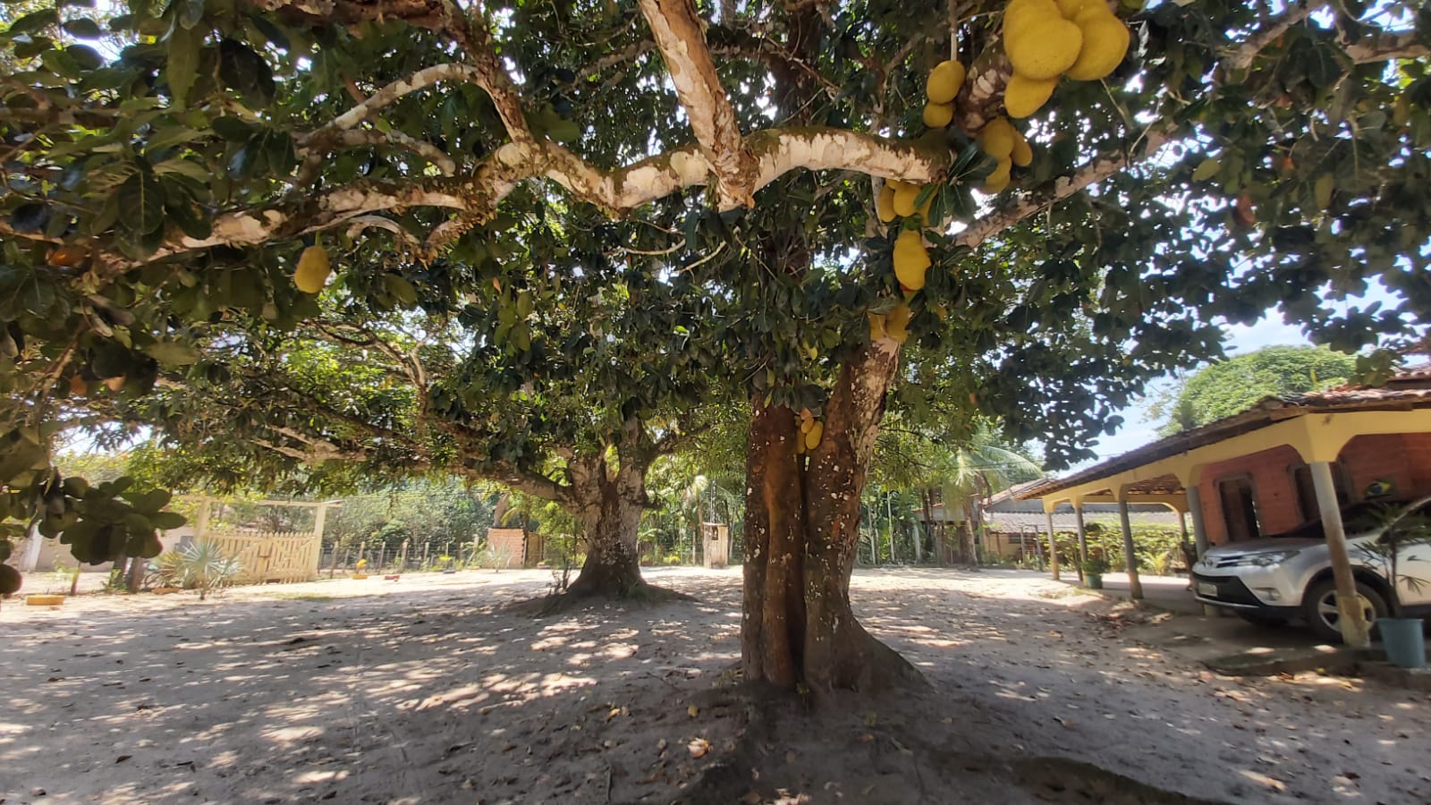Imagem Chácara com 2 Quartos à Venda, 47 m²em Zona Rural - Santa Maria do Pará