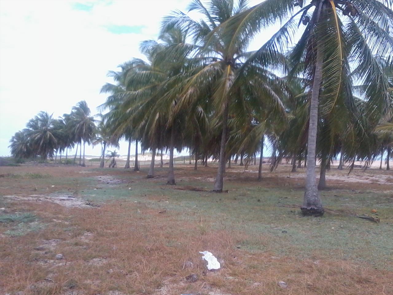 Imagem Terreno à Venda, 168.640 m² em Praia de Pititinga - Rio do Fogo