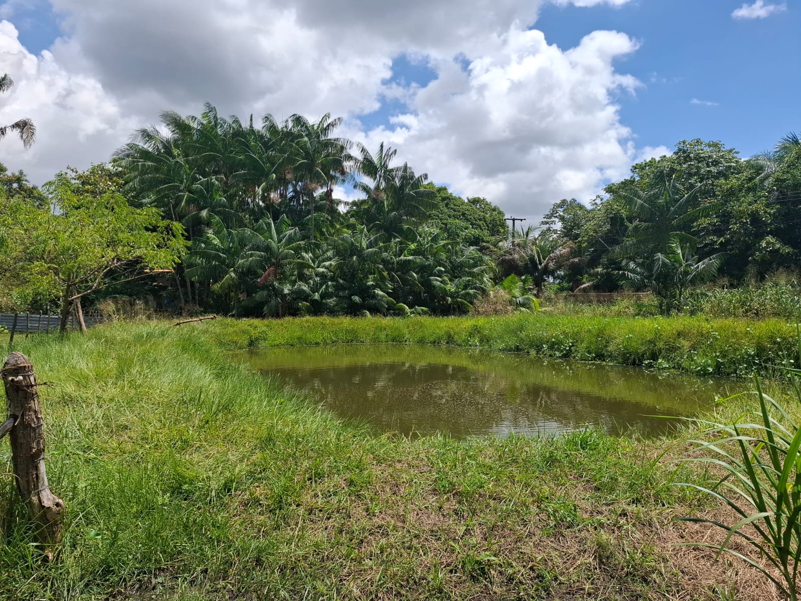 Imagem Chácara com 3 Quartos à Venda, 280 m² em Coqueiro - São Luís