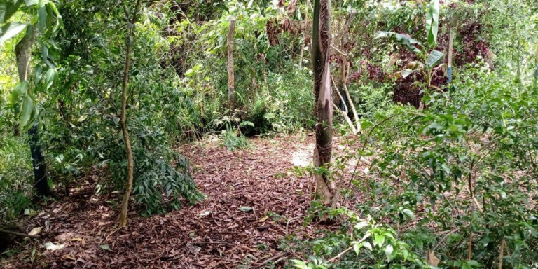 Imagem Chácara com 3 Quartos à Venda, 220 m² em Centro - Santa Isabel