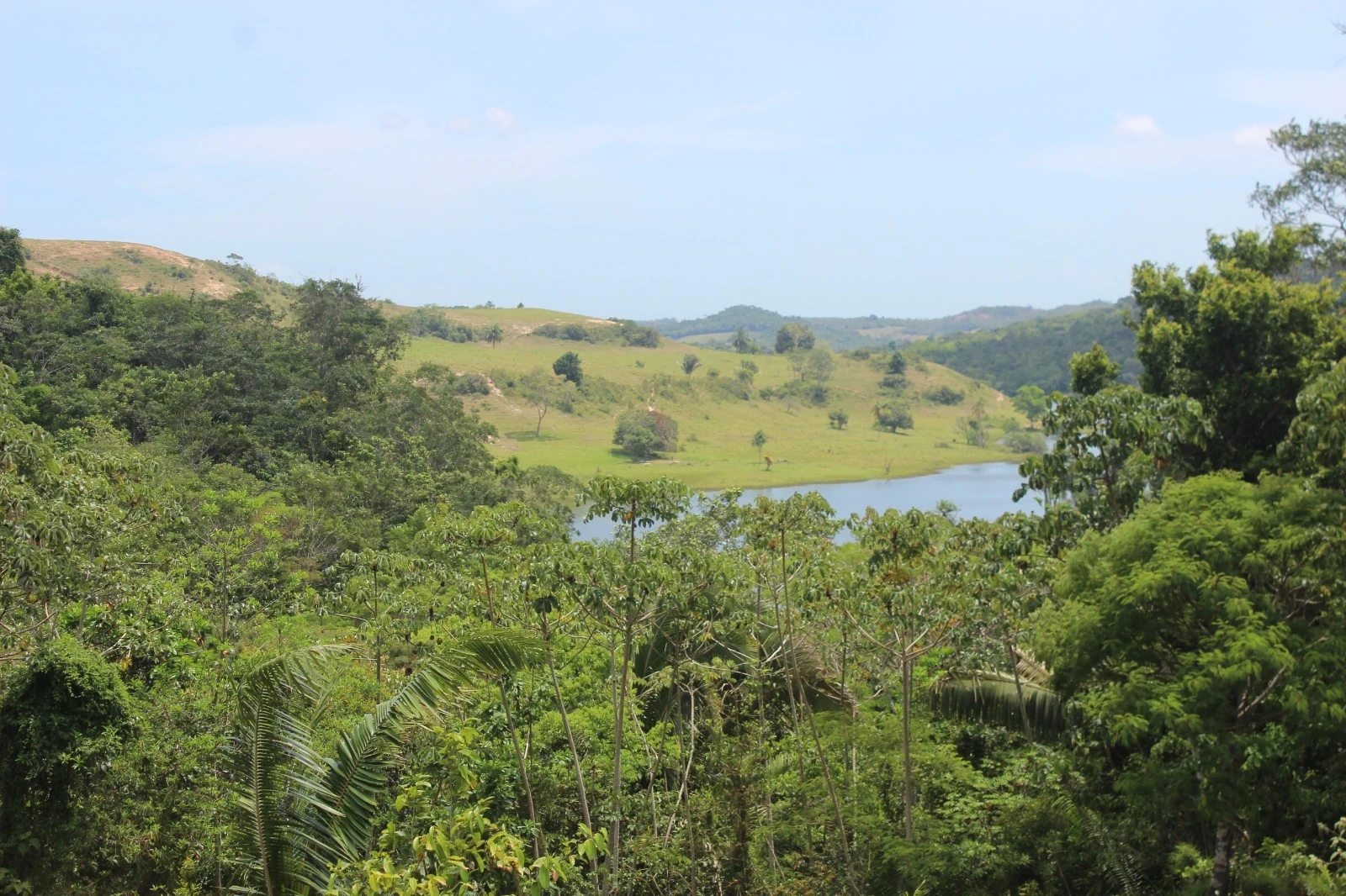 Foto do imóvel: Chácara com 2 Quartos à Venda, 20100 m² em Mata de São João - Mata de São João