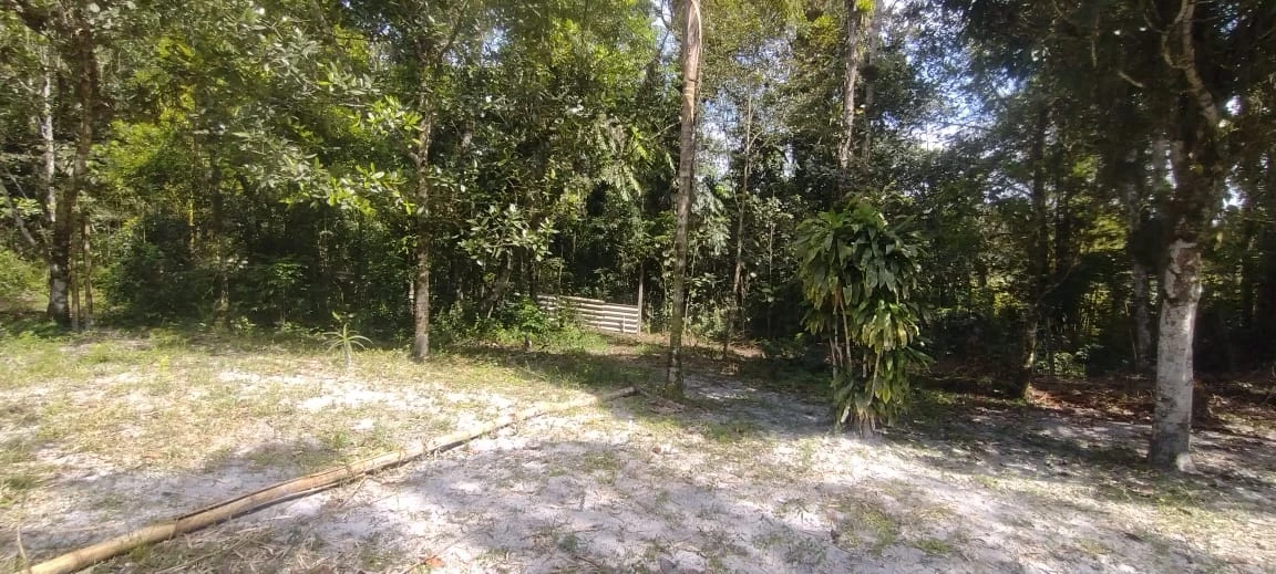 Imagem Chácara com 2 Quartos à Venda, 75 m² em Jardim Coronel - Itanhaém