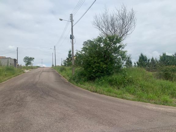 Imagem Terreno à Venda,  em Linha Anta - Criciúma