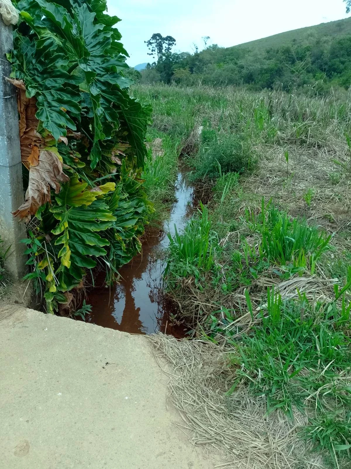 Imagem Chácara com 2 Quartos à Venda, 2.500 m² em Caldas - Caldas