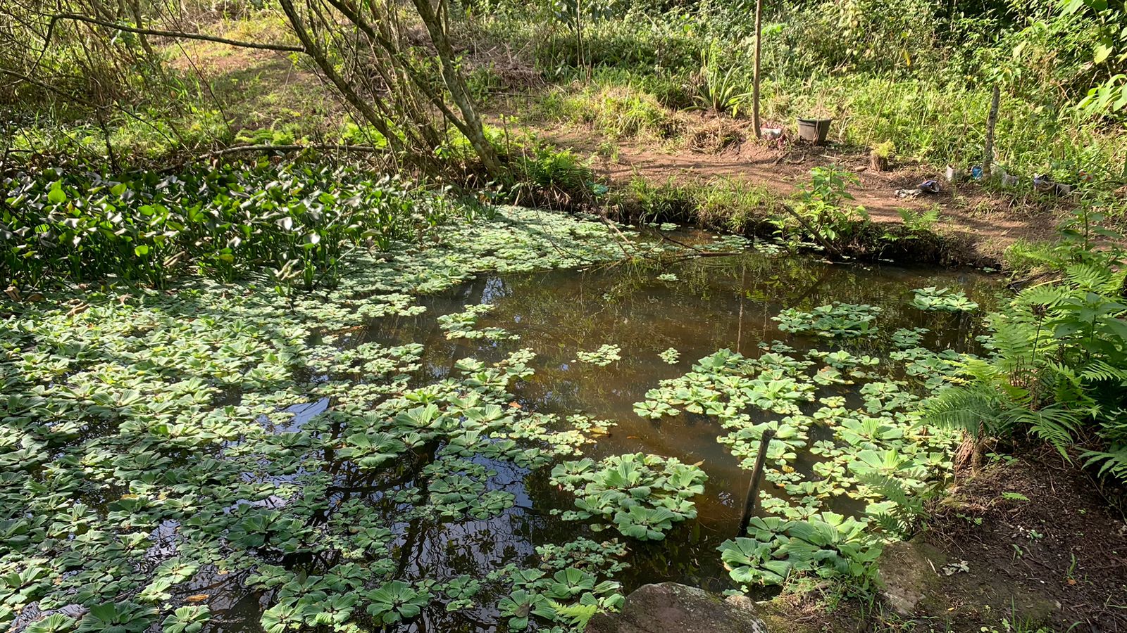 Foto do imóvel: Terreno à Venda, 17.850 m² em Realengo - Rio de Janeiro