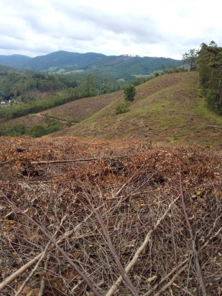 Imagem Terreno à Venda, 1.000 m² em Centro - Atibaia
