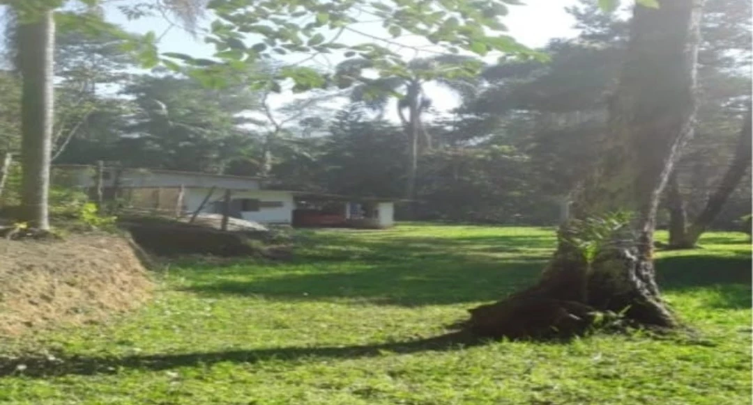 Imagem Imóvel com 1 Quarto à Venda, 29.700 m² em Mombaça - Itapecerica da Serra