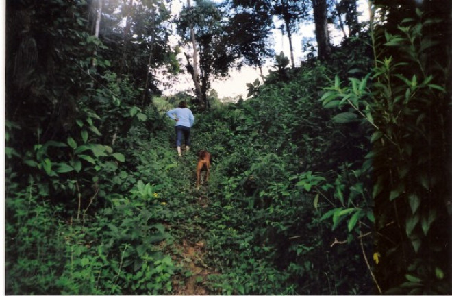 Imagem Terreno à Venda, 726.000 m² em Jardim Mirna - Taboão da Serra