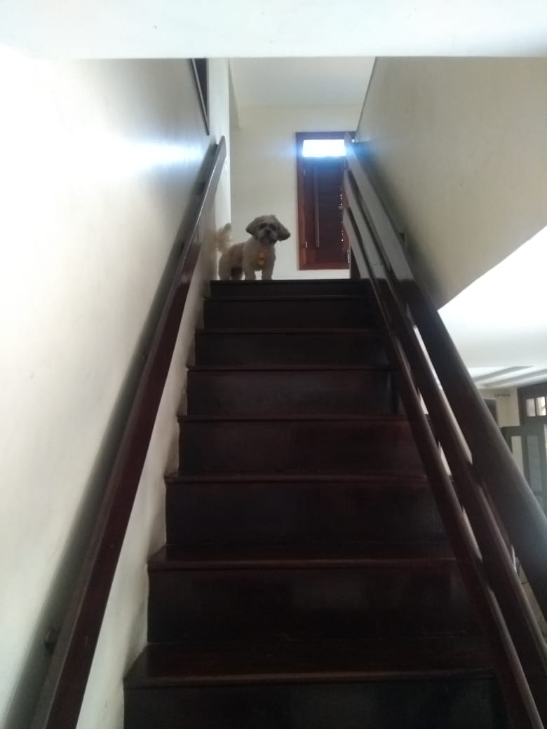 Imagem Casa com 4 Quartos à Venda, 250 m²em Cidade dos Funcionários - Fortaleza