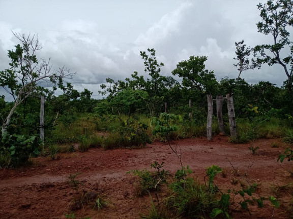 Imagem Fazenda à Venda, 4.870 HA em morumbi - campo grande