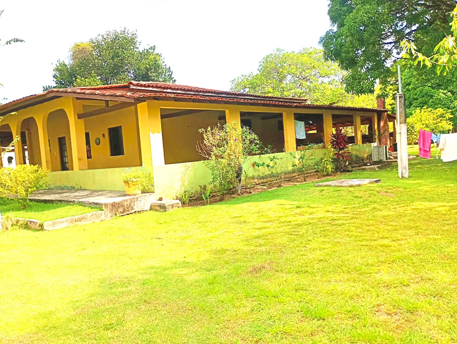 Imagem Chácara com 3 Quartos à Venda, 15 m²em Pau Darco - Santa Bárbara do Pará