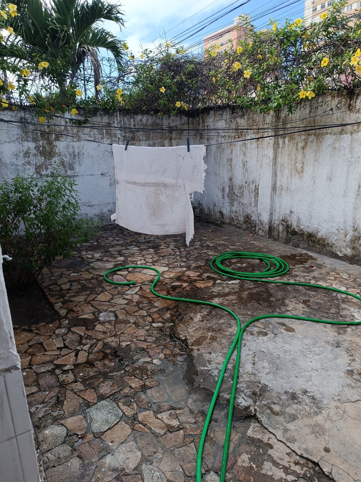 Imagem Casa com 3 Quartos à Venda, 493 m² em Farias Brito - Fortaleza