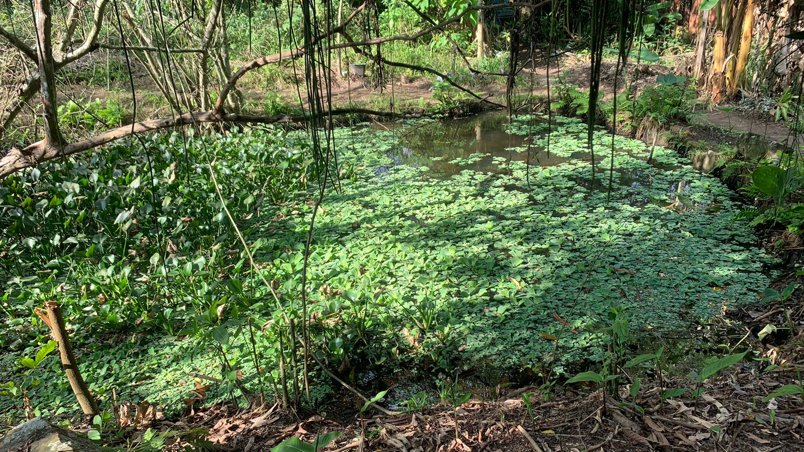 Foto do imóvel: Terreno à Venda, 17.850 m² em Realengo - Rio de Janeiro