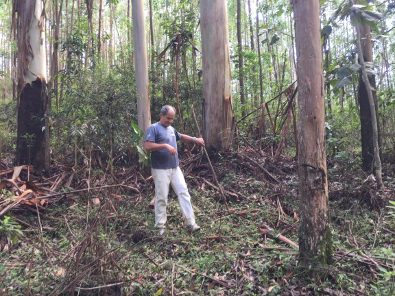 Terreno à Venda, 123.000 m² em Zona Rural - Santa Bárbara do Tugúrio