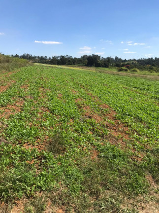 Terreno à Venda, 500 m² em verava - Ibiúna
