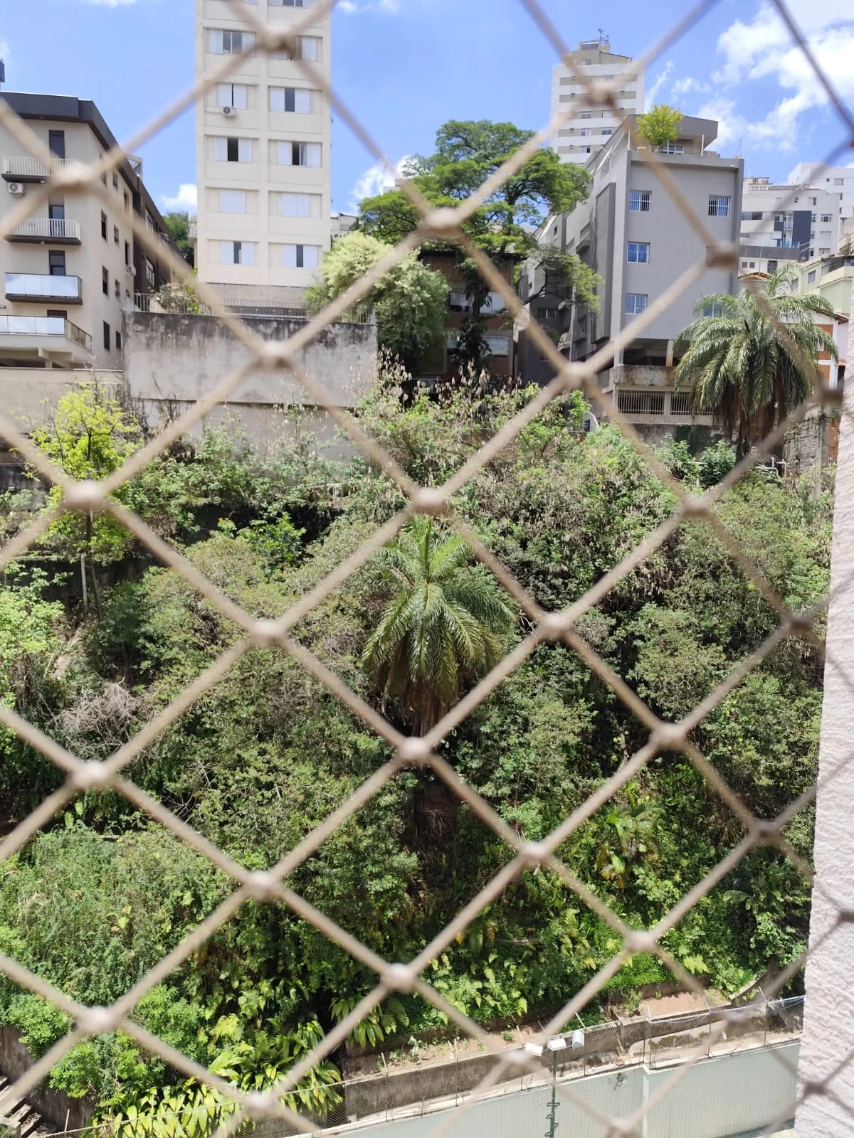 Imagem Apartamento com 3 Quartos à Venda, 111 m² em Santo Antônio - Belo Horizonte