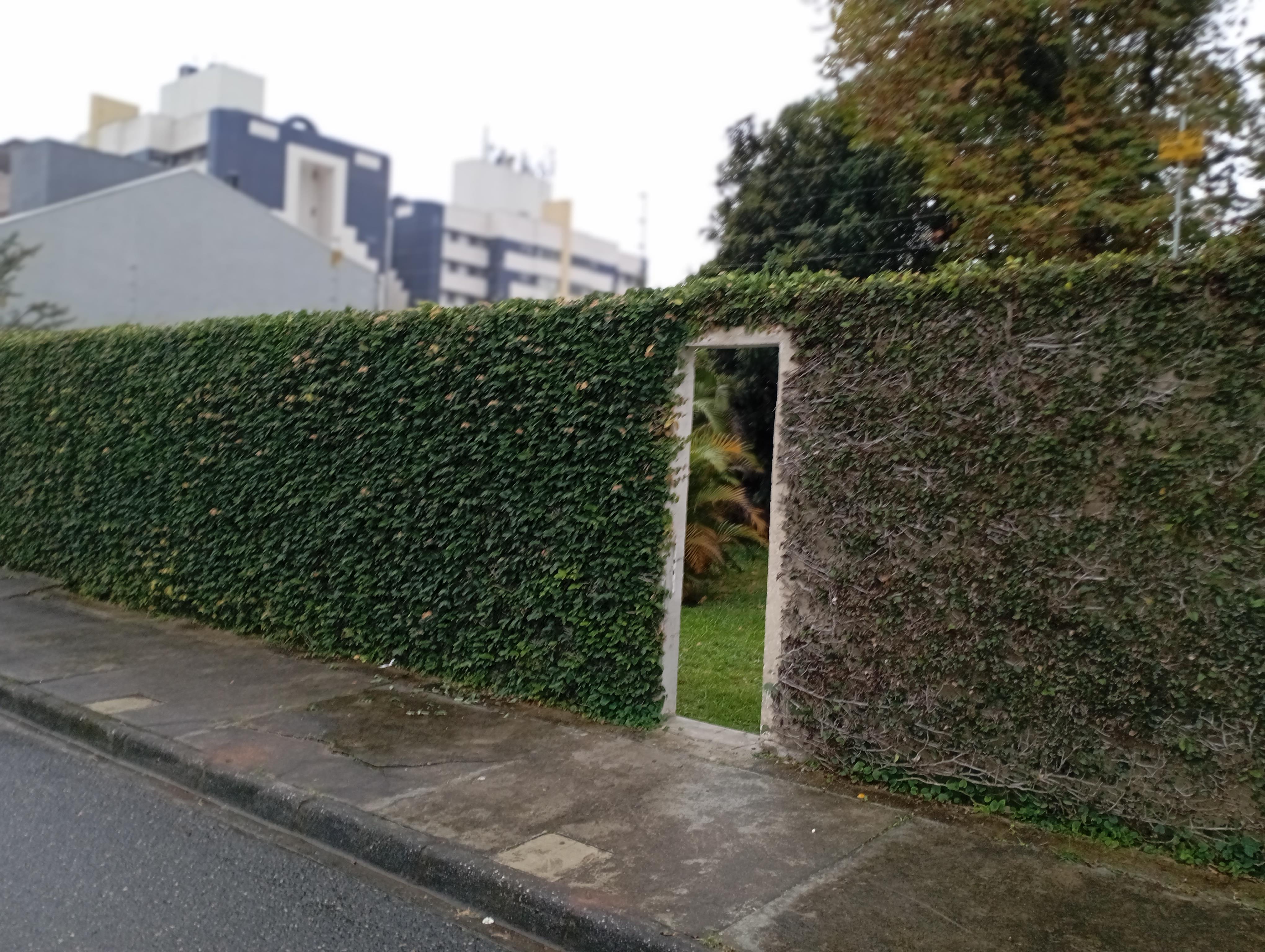 Imagem Terreno à Venda, 384 m² em Campina do Siqueira - Curitiba