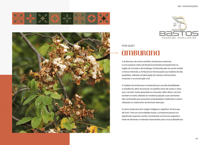 Foto do imóvel: Apartamento com 2 Quartos à Venda, 72 m² em Acaraú - Ubatuba